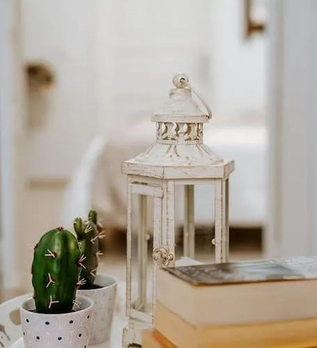 Moon Cactus Traditional Cave With Jacuzzi Μεσαριά