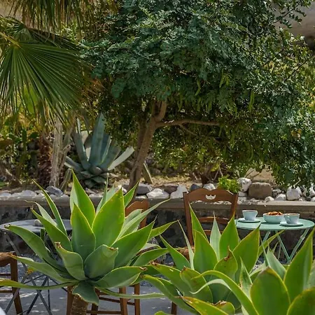 Villa Moon Cactus Traditional Cave With Jacuzzi