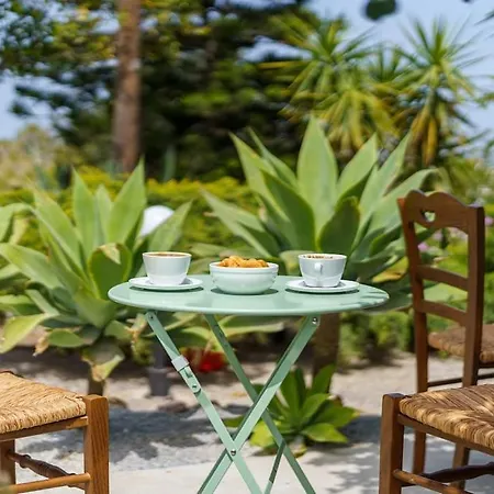 Moon Cactus Traditional Cave With Jacuzzi 别墅 *