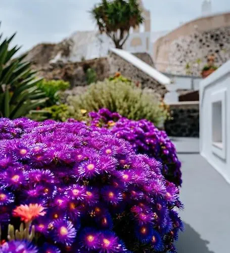 Moon Cactus Traditional Cave With Jacuzzi * Mesaria