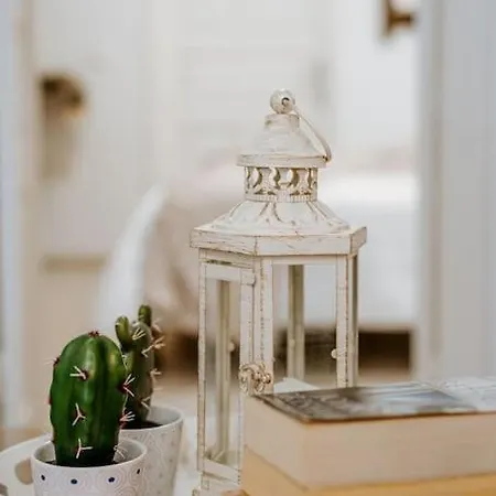 Moon Cactus Traditional Cave With Jacuzzi 메사리아